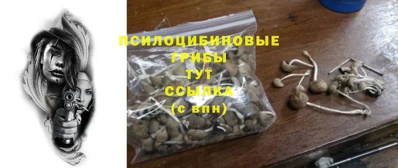 Псилоцибиновые грибы Psilocybine cubensis  что такое наркотик  Покров 